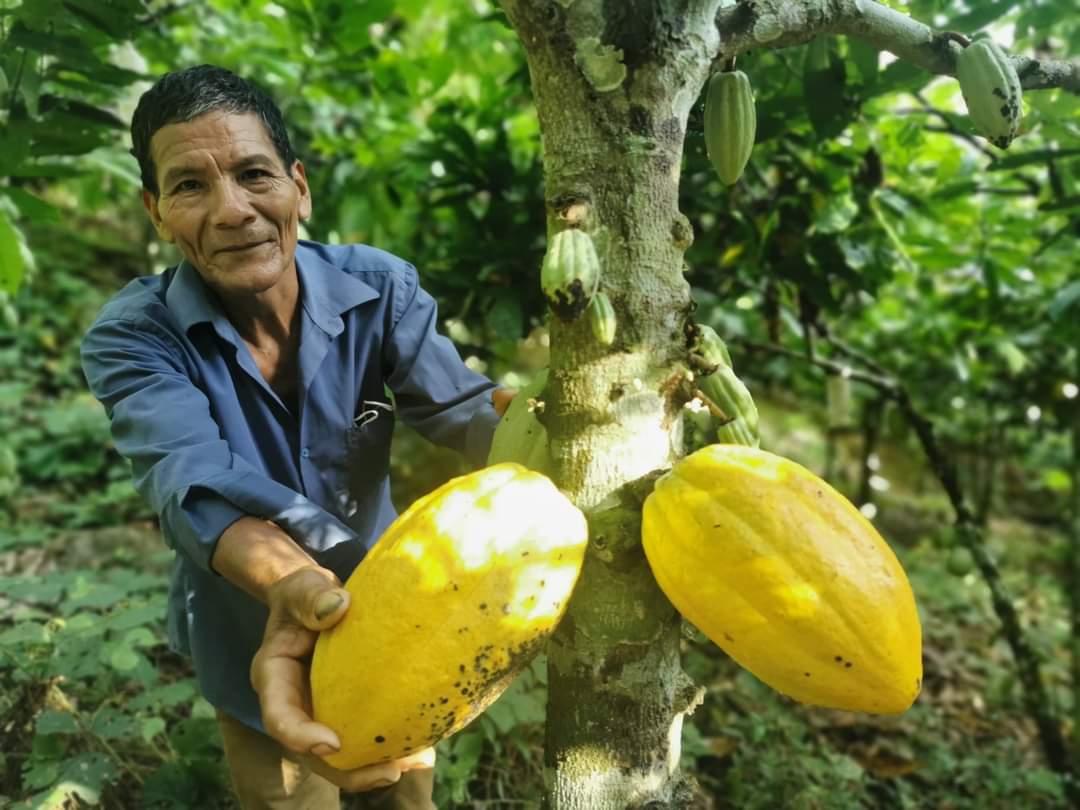 cbc34853-b700-4c2b-9217-a151d99067e3 (1) (1)